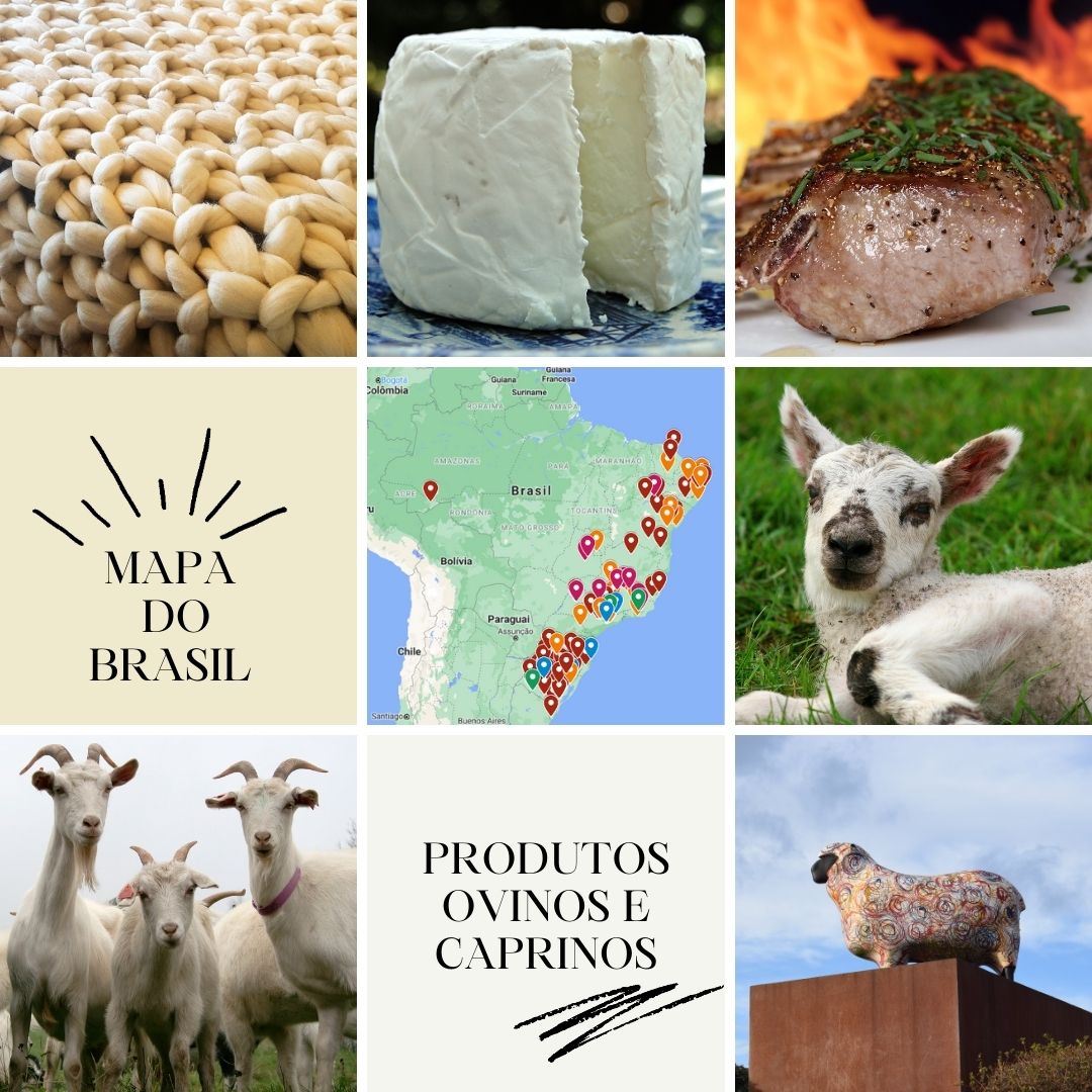 Mapa Capril Virtual de Produtos Ovinos e Caprinos Brasil