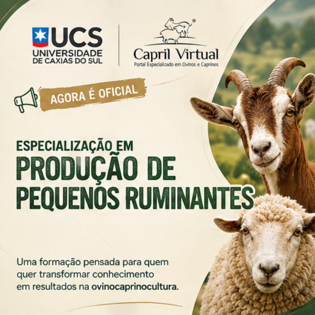 Pós UCS