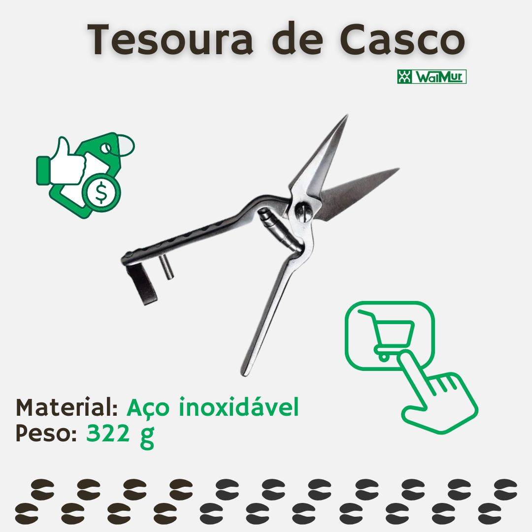 ML Tesoura de Casco 