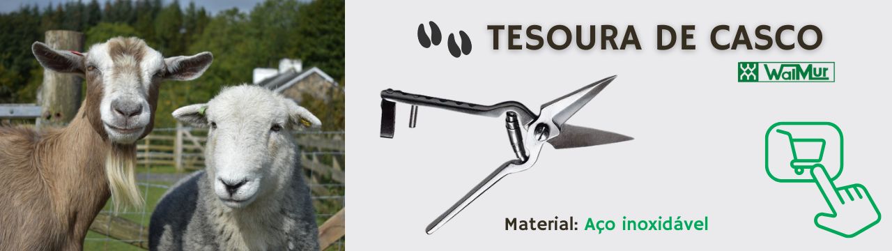 ML Tesoura de Casco 