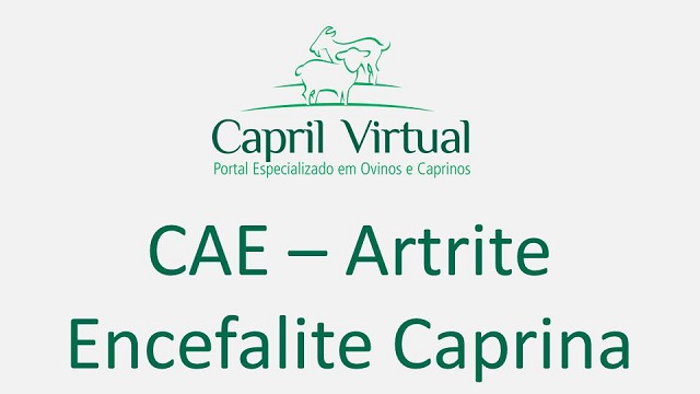 artrite encefalite caprina pdf)