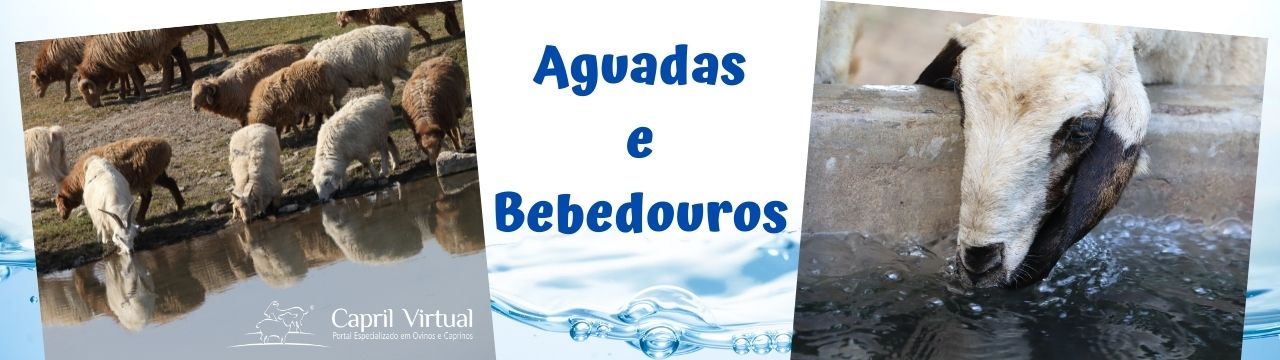 Aguadas e Bebedouros