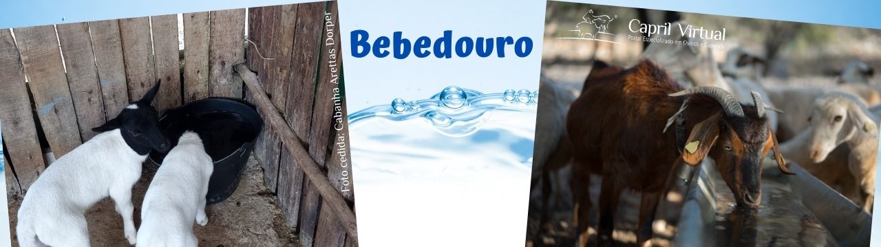 Bebedouro
