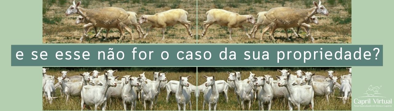 e se esse não for o caso da sua propriedade?