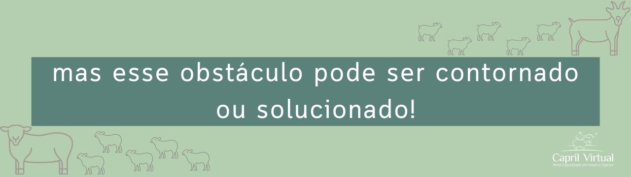 mas esse obstáculo pode ser contornado ou solucionado!