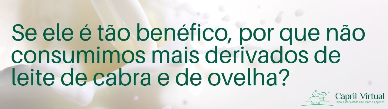 se ele é tão benéfico, por que não consumimos mais derivados de leite de cabra e de ovelha? 